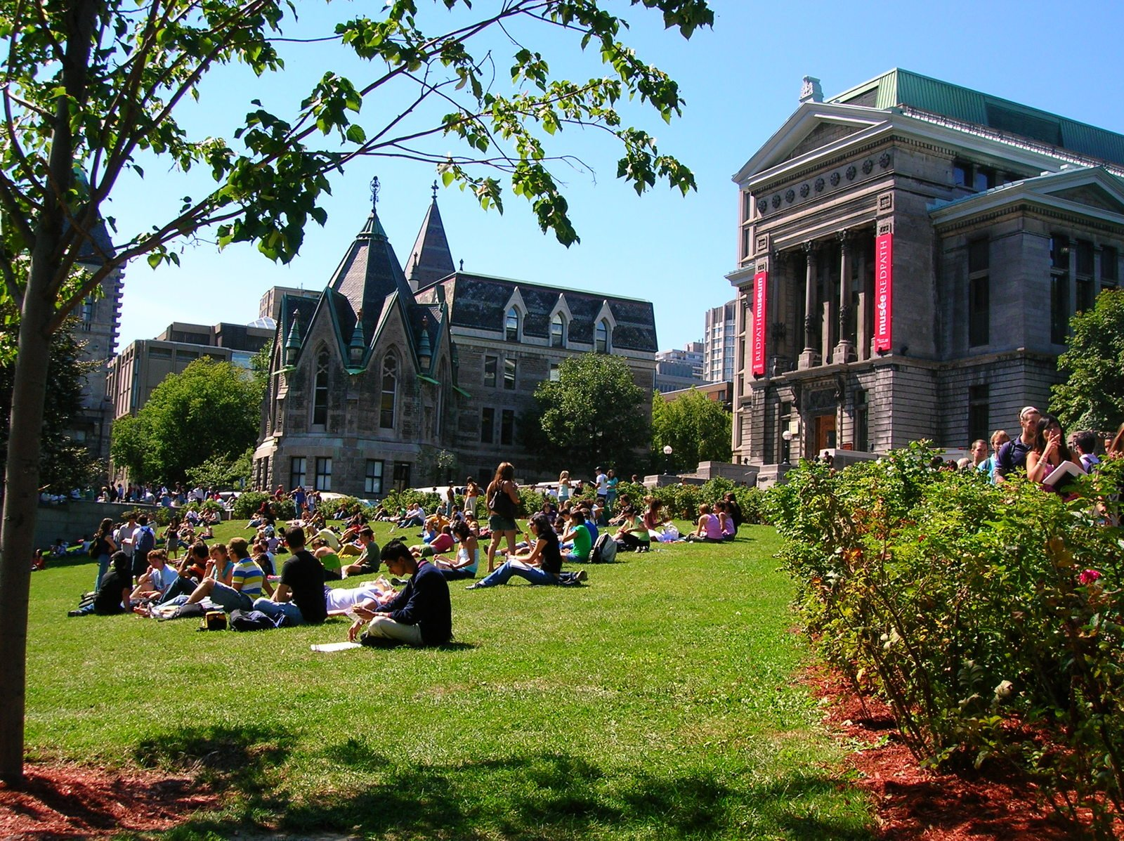 First Semester at McGill
